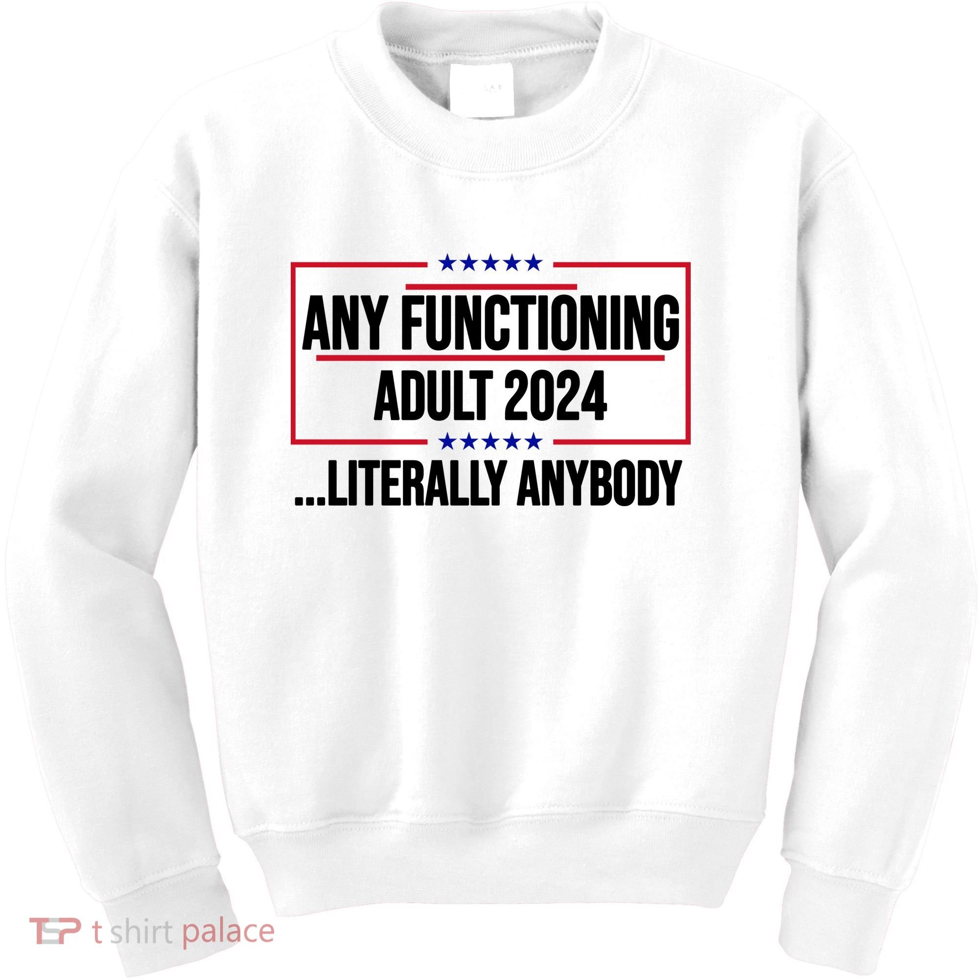 Any Functioning Adult 2024 Literally Anybody Funny Election Kids Sweatshirt