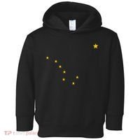 Alaskan Flag | Alaska Pride Northern Lights Big Dipper Polaris Toddler Hoodie thumb 0