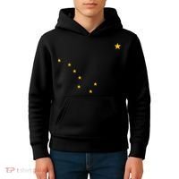 Alaskan Flag | Alaska Pride Northern Lights Big Dipper Polaris Kids Hoodie thumb 4