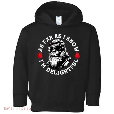 Toddler Hoodie