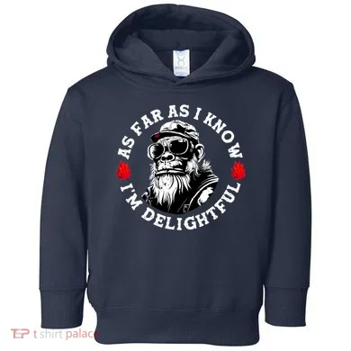 Toddler Hoodie