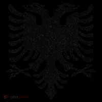 Albania Flag Albanian Doubleheaded Eagle Kids Hoodie thumb 5