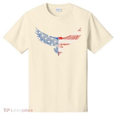 American Flag An Eagle Mullet Patriotic For Dad Husband T-Shirt