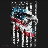 American Flag Bald Eagle Patriotic Bald Eagle Coaster thumb 2
