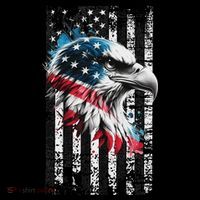 American Flag Bald Eagle Patriotic Bald Eagle Toddler Hoodie thumb 2