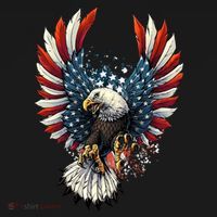 American Flag Bald Eagle 4th Of July USA Patriotic Hoodie thumb 2