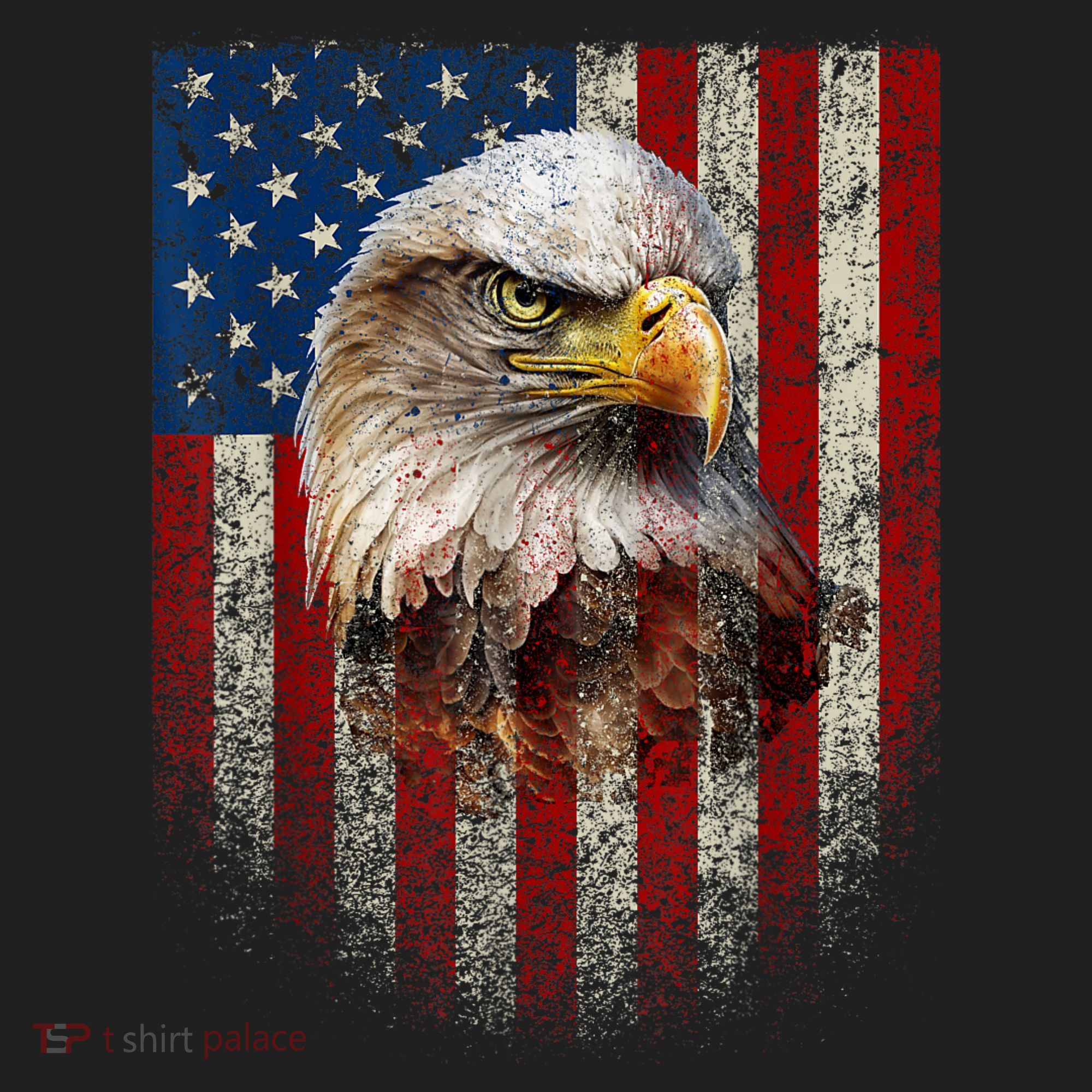 American Flag Bald Eagle Patriotic Red White Blue Hat