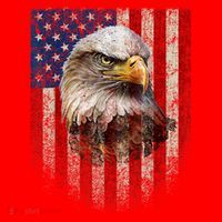American Flag Bald Eagle Patriotic Red White Blue Santa Hat thumb 1