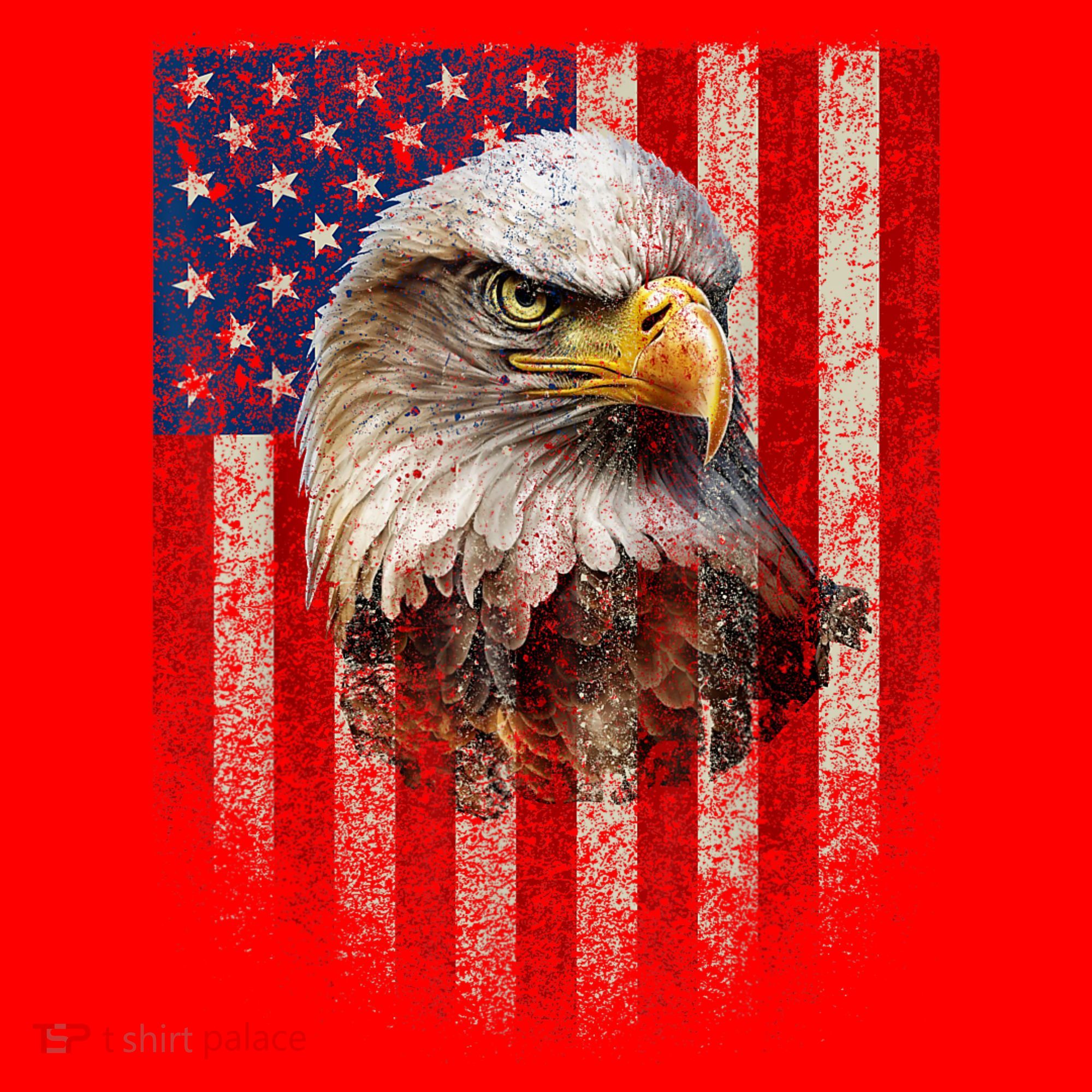 American Flag Bald Eagle Patriotic Red White Blue Santa Hat