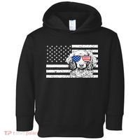 American Flag Dachshund Weiner Dog Us Patriotic Gift Toddler Hoodie thumb 0