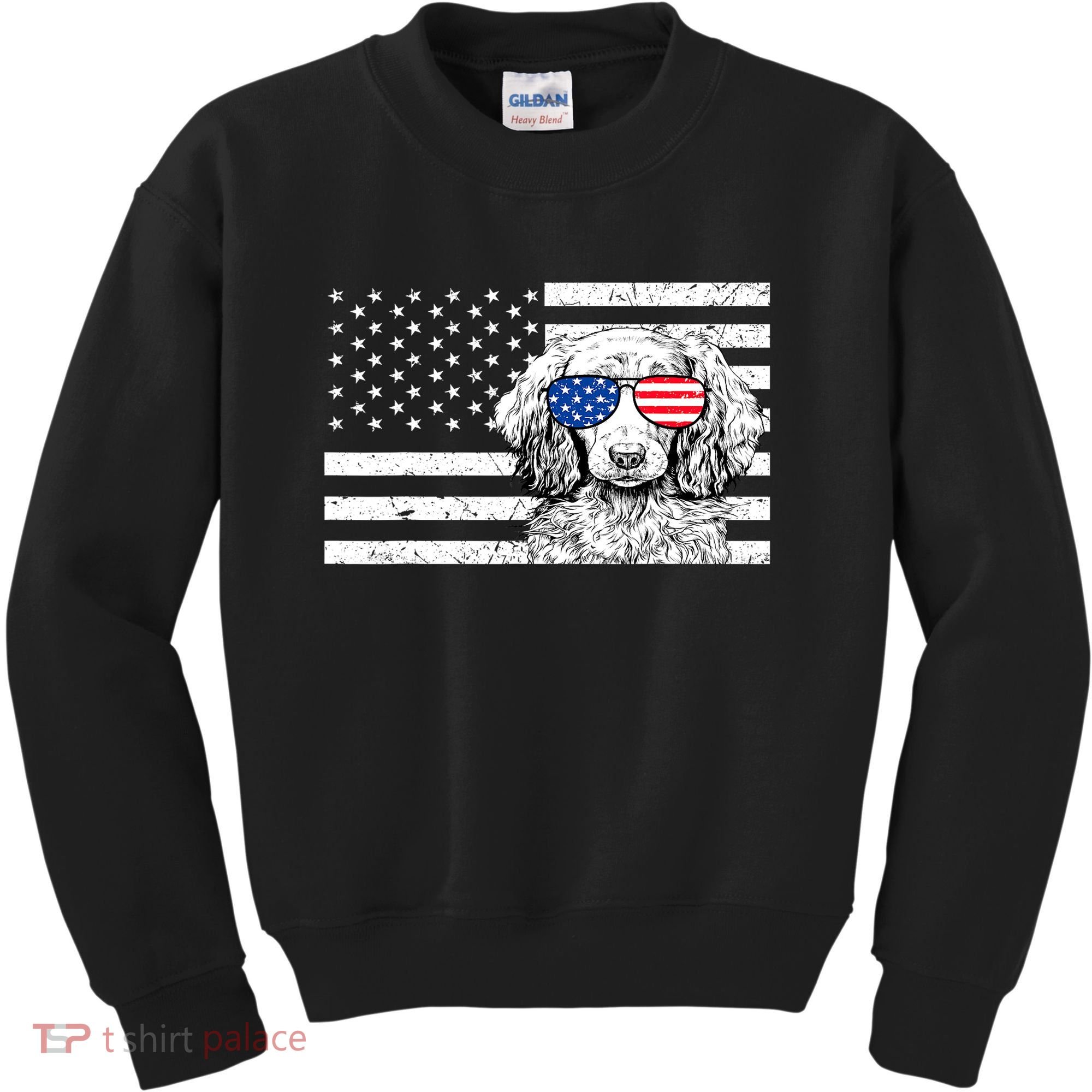 American Flag Dachshund Weiner Dog Us Patriotic Gift Kids Sweatshirt