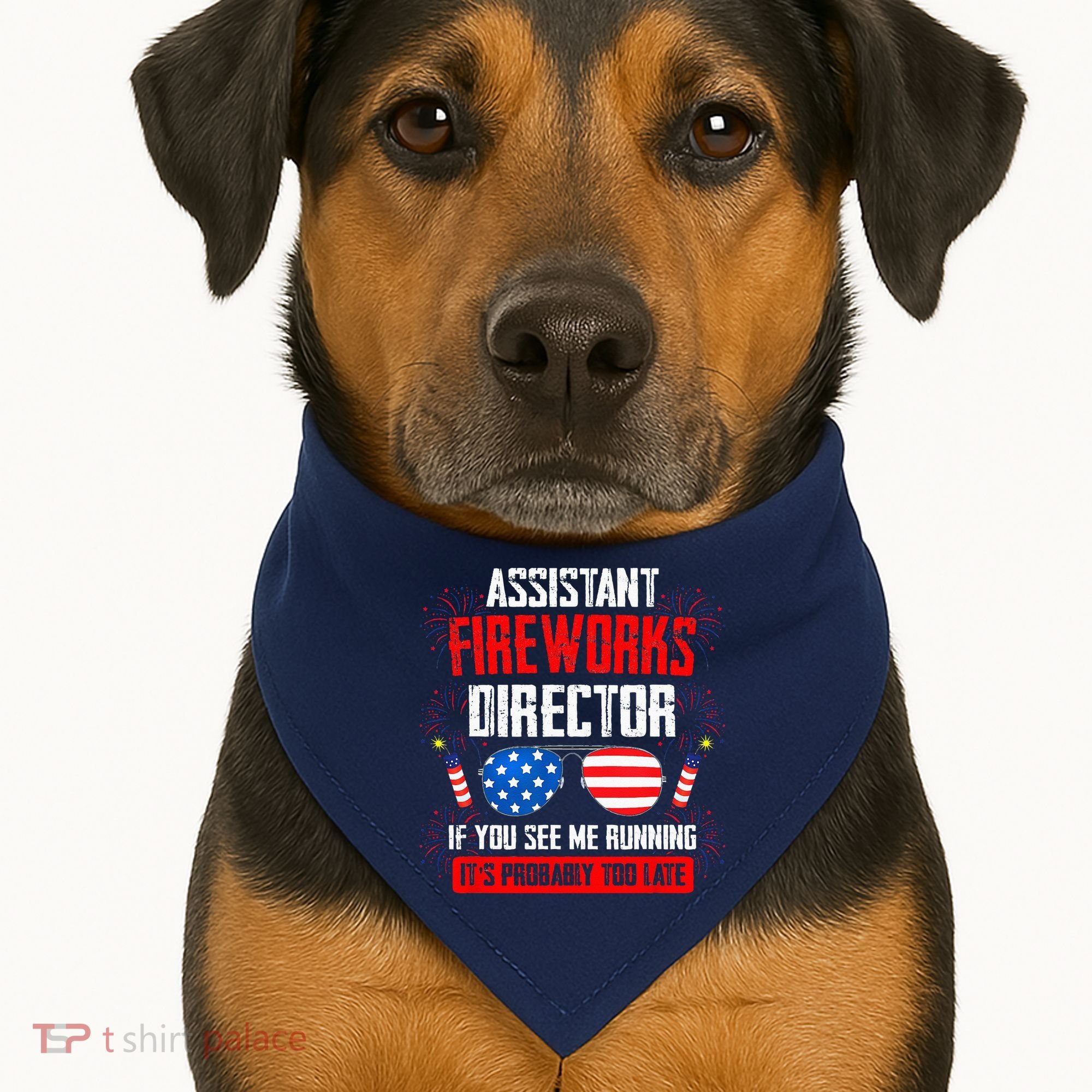 Assistant Fireworks Director If You See Assistant Firework USA-Made Doggie Bandana