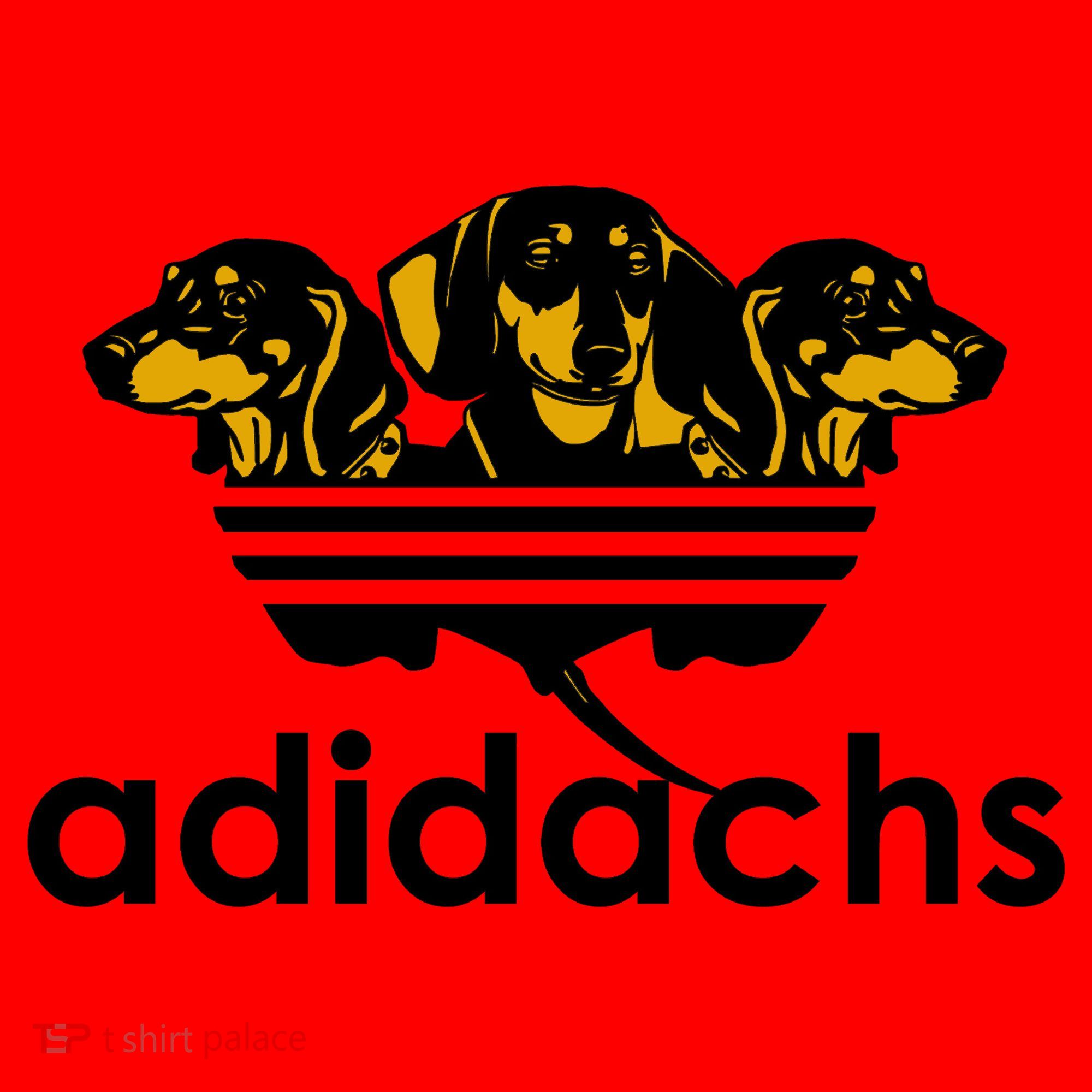 Adidachs Funny Daschund Dog Santa Hat