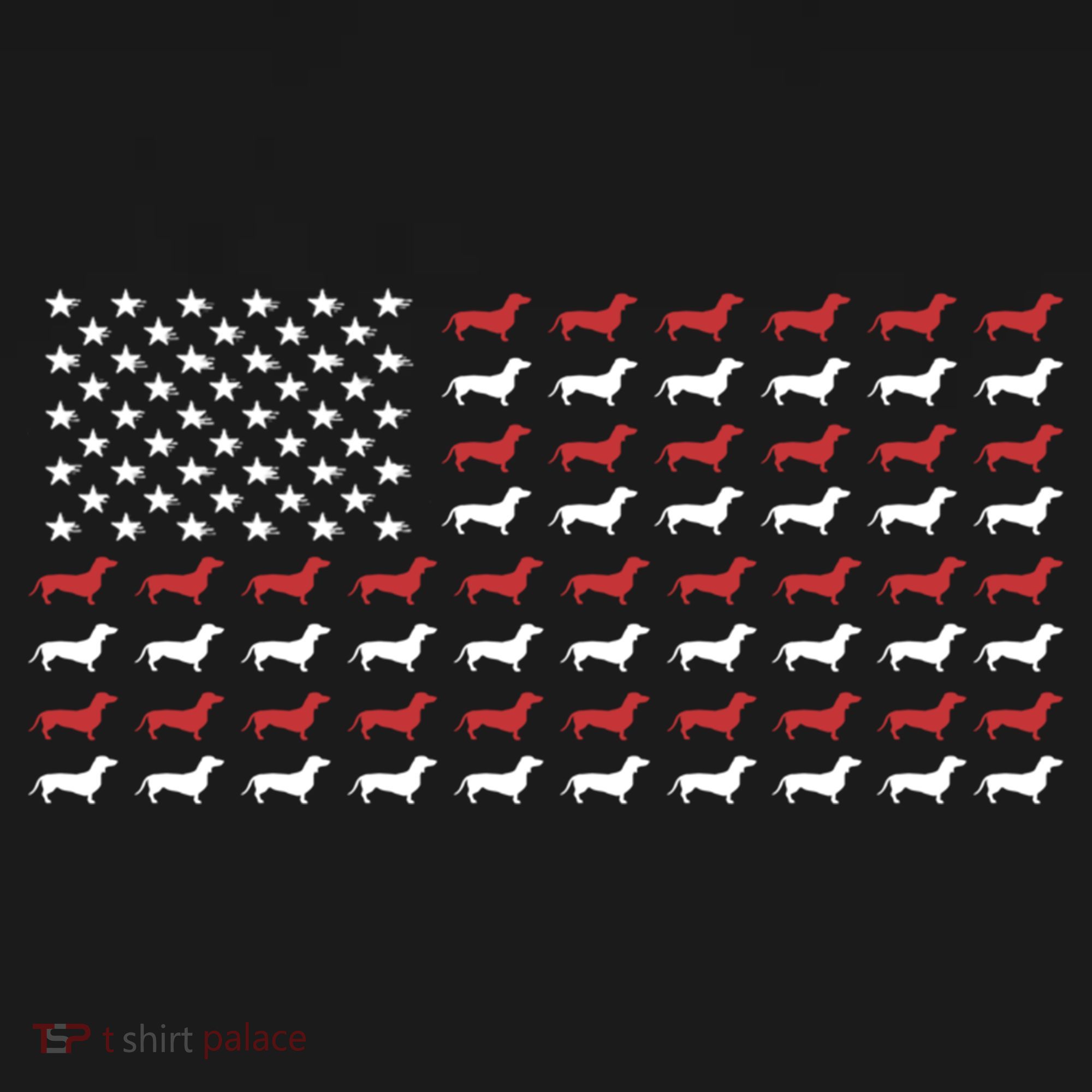 American Flag Dachshund Patriotic Dachshund Doxie Lover Cool Gift Women's Hoodie