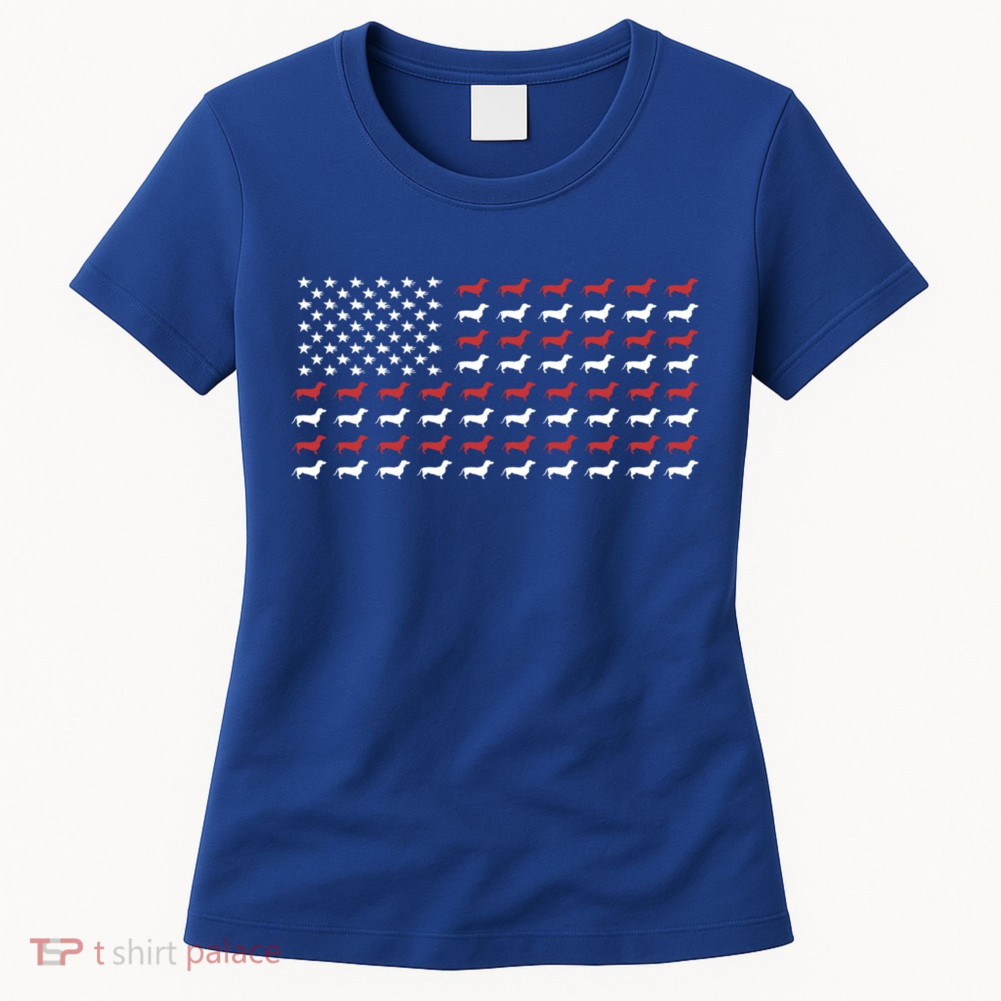 American Flag Dachshund Patriotic Dachshund Doxie Lover Cool Gift Women's T-Shirt