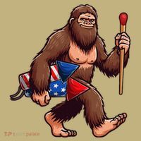 Assistant Fireworks Director 4th July Party Bigfoot Funny Hoodie thumb 7