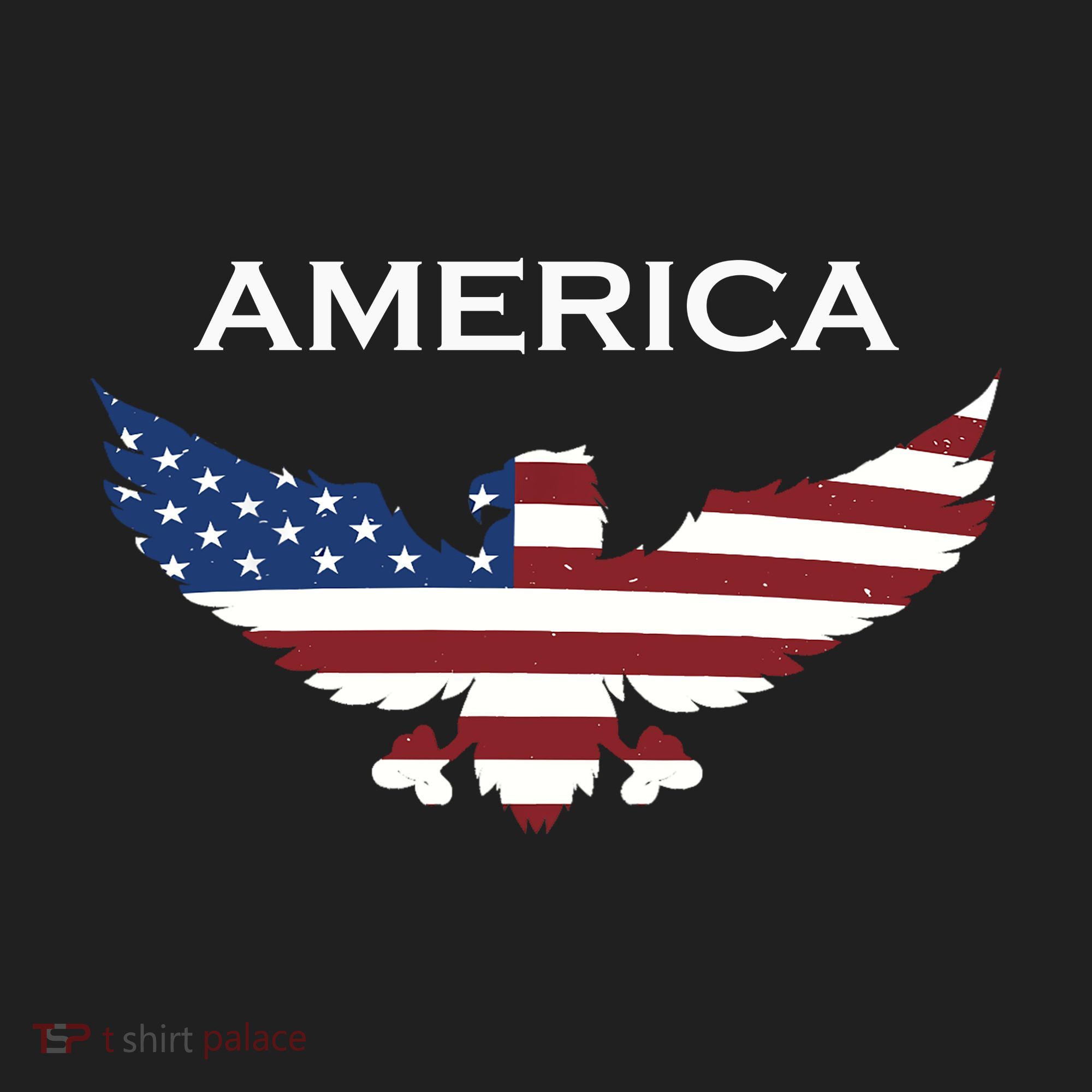 American Flag Eagle Women's Sweatshirt
