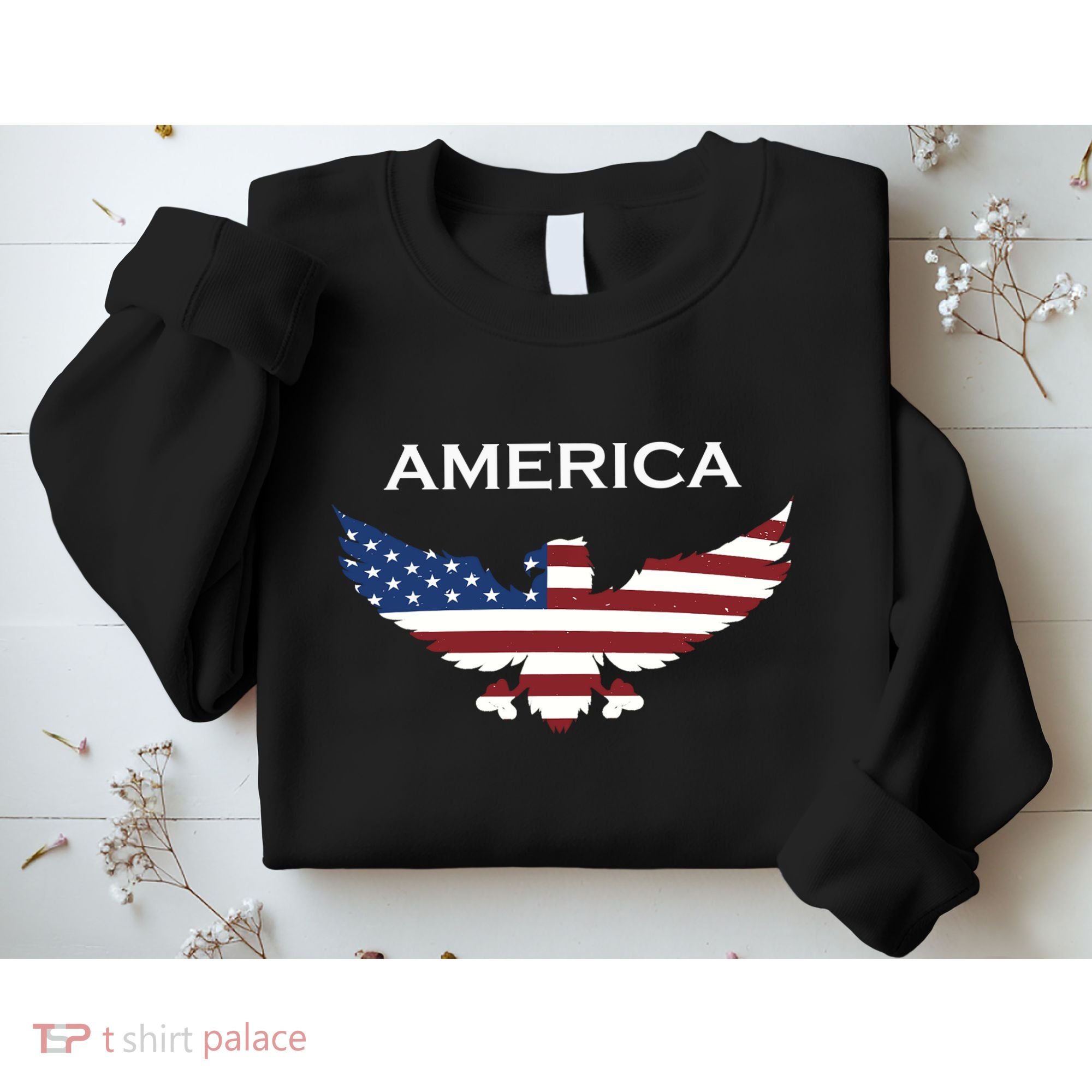 American Flag Eagle Sweatshirt