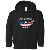 American Flag Eagle Toddler Hoodie thumb 0