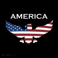 American Flag Eagle Visor thumb 3