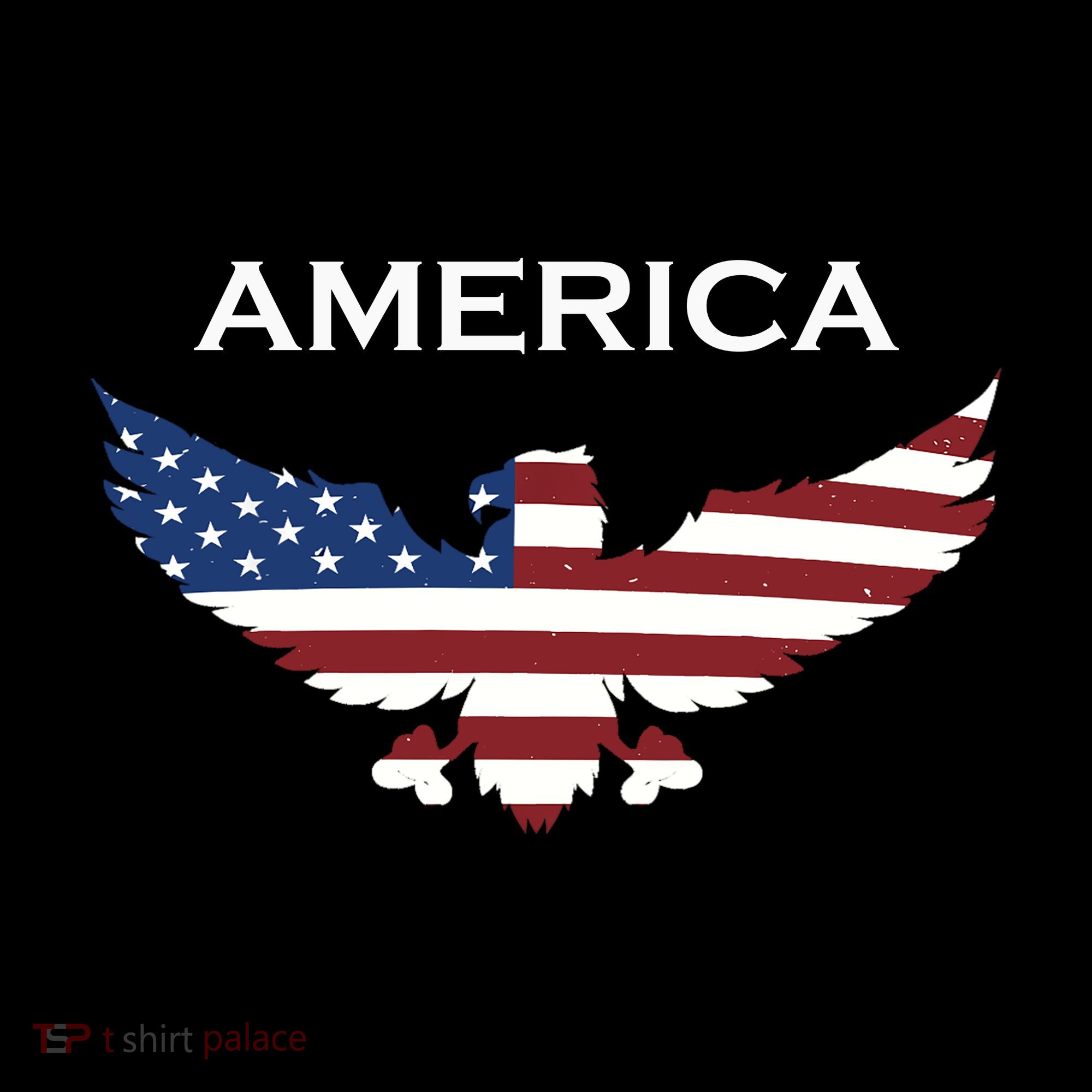 American Flag Eagle Kids T-Shirt