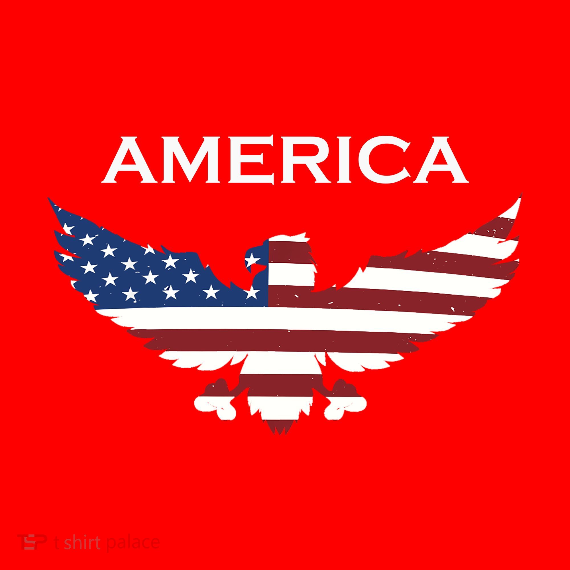 American Flag Eagle Santa Hat