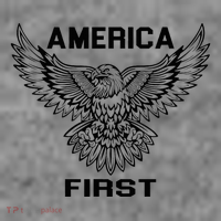 America First Eagle America First Toddler Hoodie thumb 2