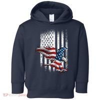 American Flag Eagle 4th Of July Independence Day Patriotic Toddler Hoodie thumb 0