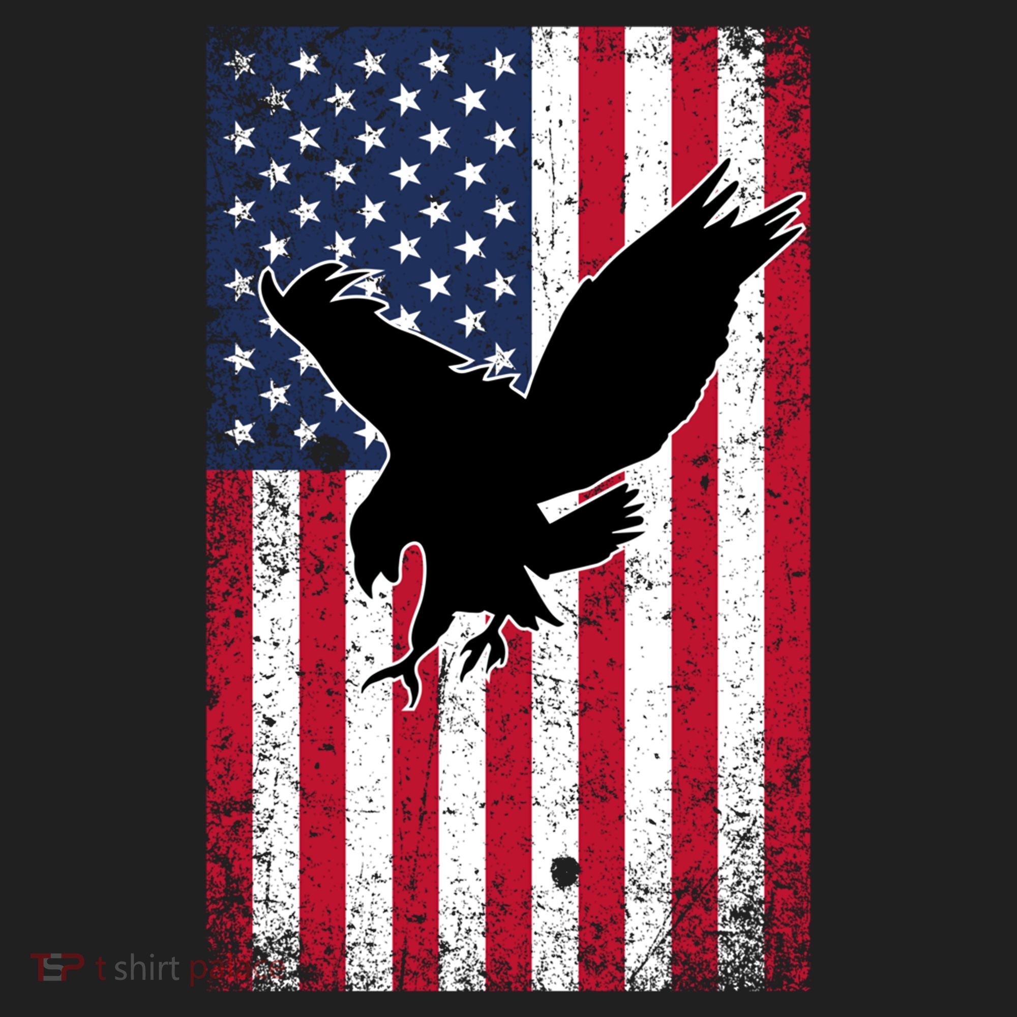 American Flag Eagle Patriotic Usa Great Gift Beanie