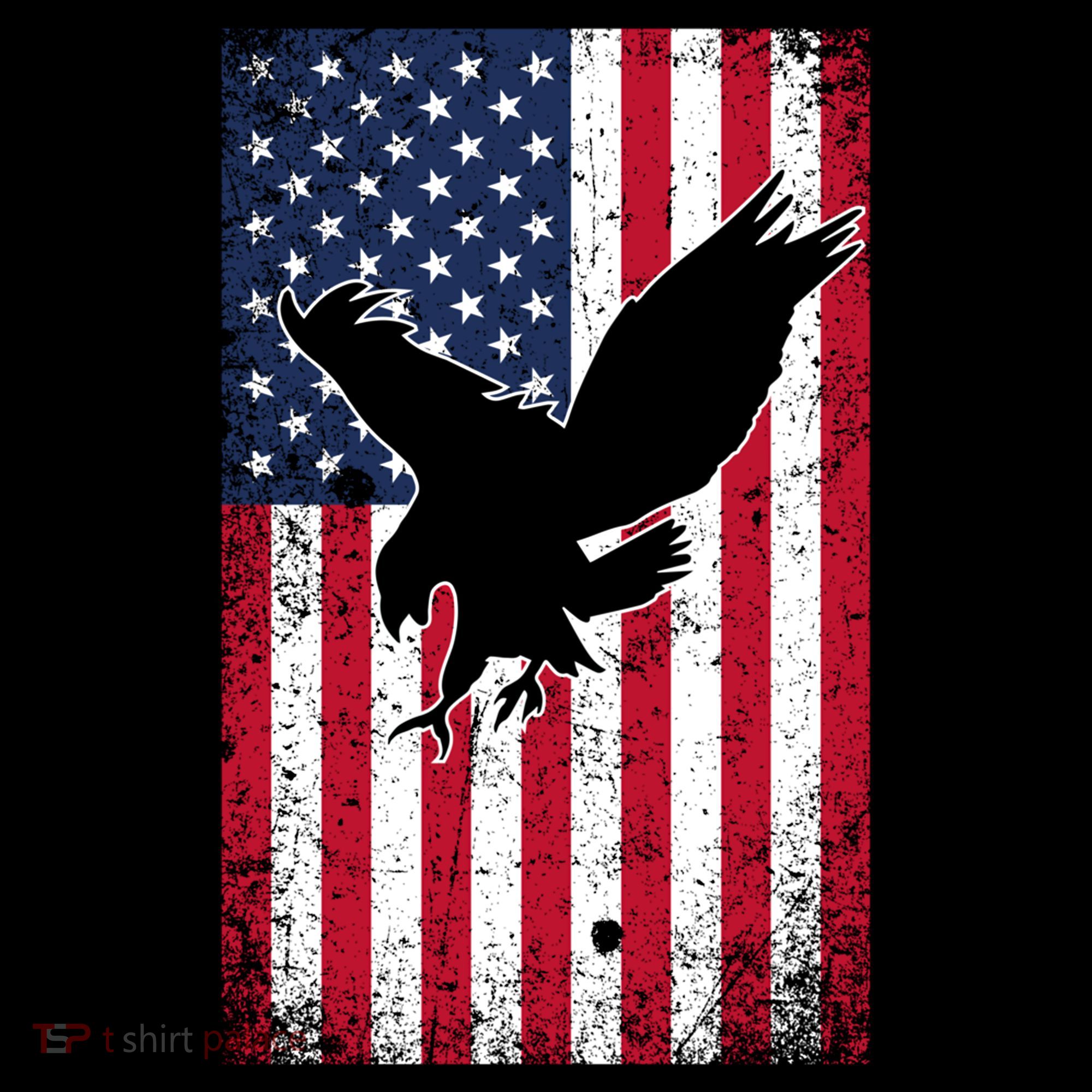 American Flag Eagle Patriotic Usa Great Gift Women's Hoodie