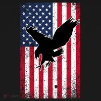 American Flag Eagle Patriotic Usa Great Gift Ornament thumb 1