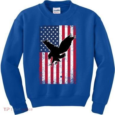 American Flag Eagle Patriotic Usa Great Gift Kids Sweatshirt