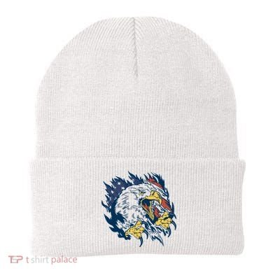American Flag Eagle Patriot Gift Beanie