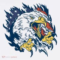 American Flag Eagle Patriot Gift Ornament thumb 1
