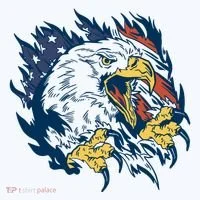 American Flag Eagle Patriot Gift Women's T-Shirt thumb 6