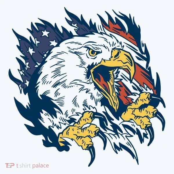 American Flag Eagle Patriot Gift Women's T-Shirt