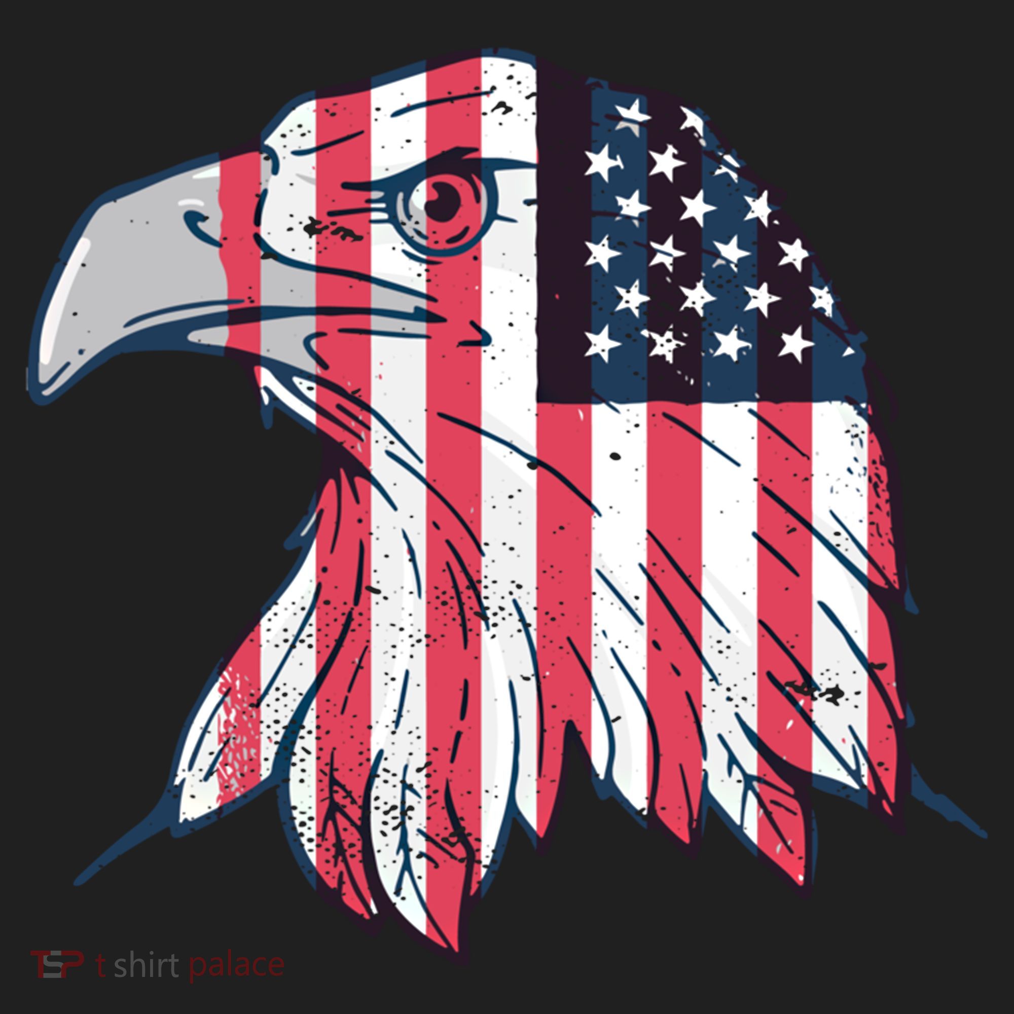 American Flag Eagle Usa Patriotic Gift Hat