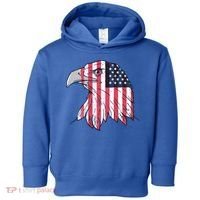 American Flag Eagle Usa Patriotic Gift Toddler Hoodie thumb 0