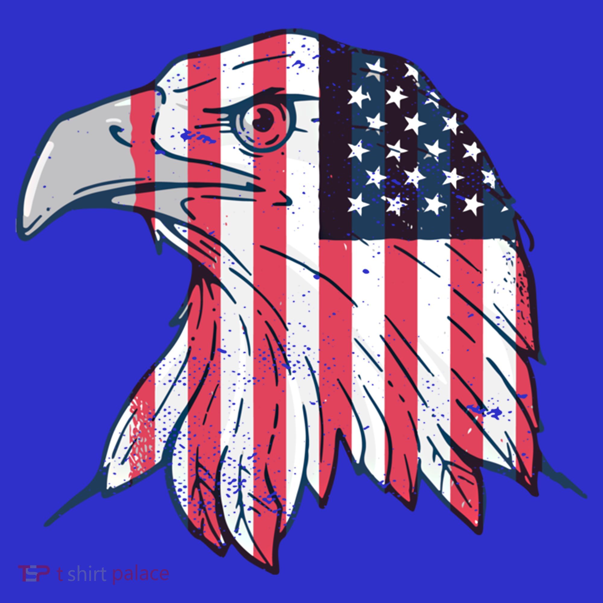 American Flag Eagle Usa Patriotic Gift Toddler Hoodie