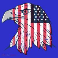 American Flag Eagle Usa Patriotic Gift Women's T-Shirt thumb 6