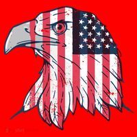American Flag Eagle Usa Patriotic Gift Santa Hat thumb 1