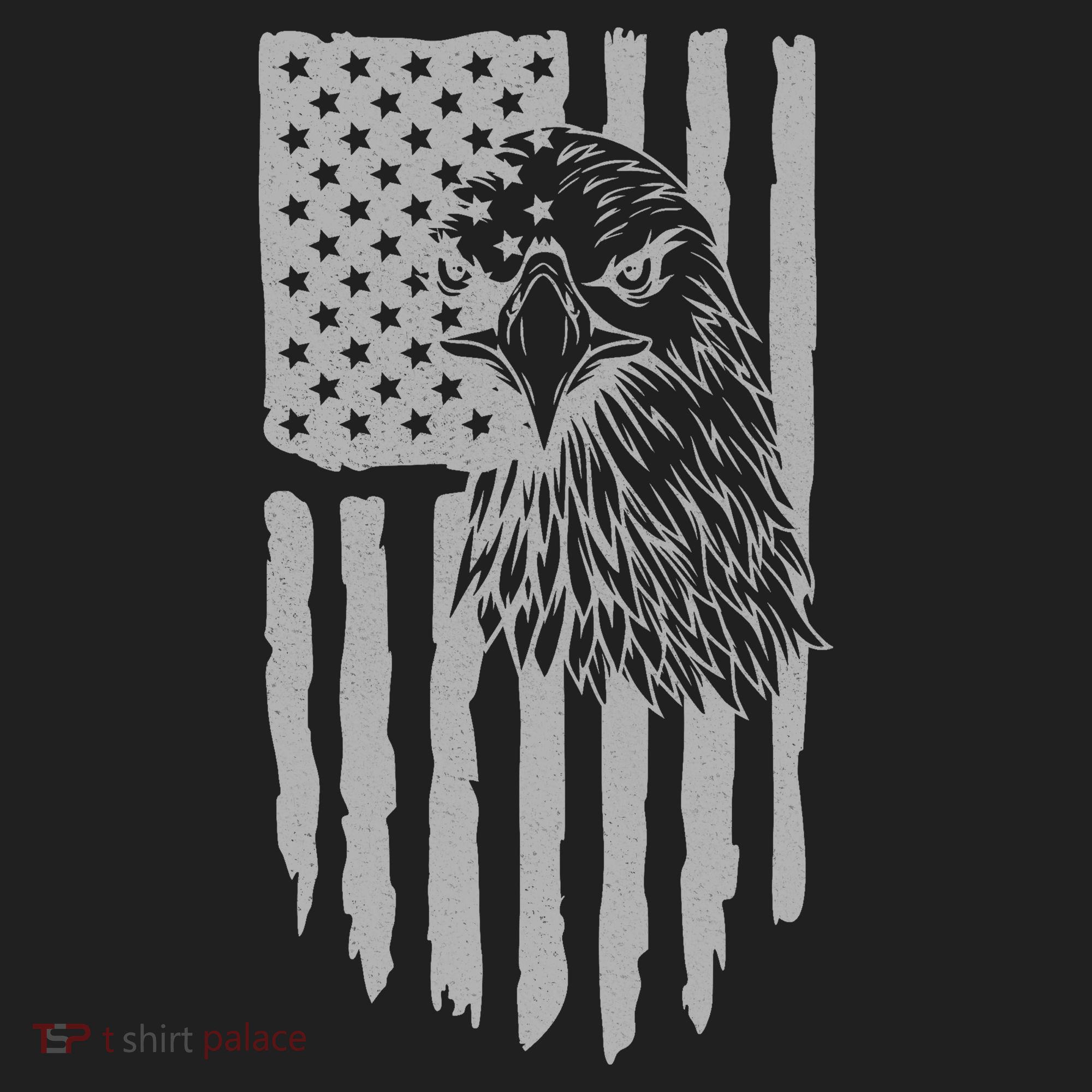 American Flag Eagle Patriot Women's Sweatshirt