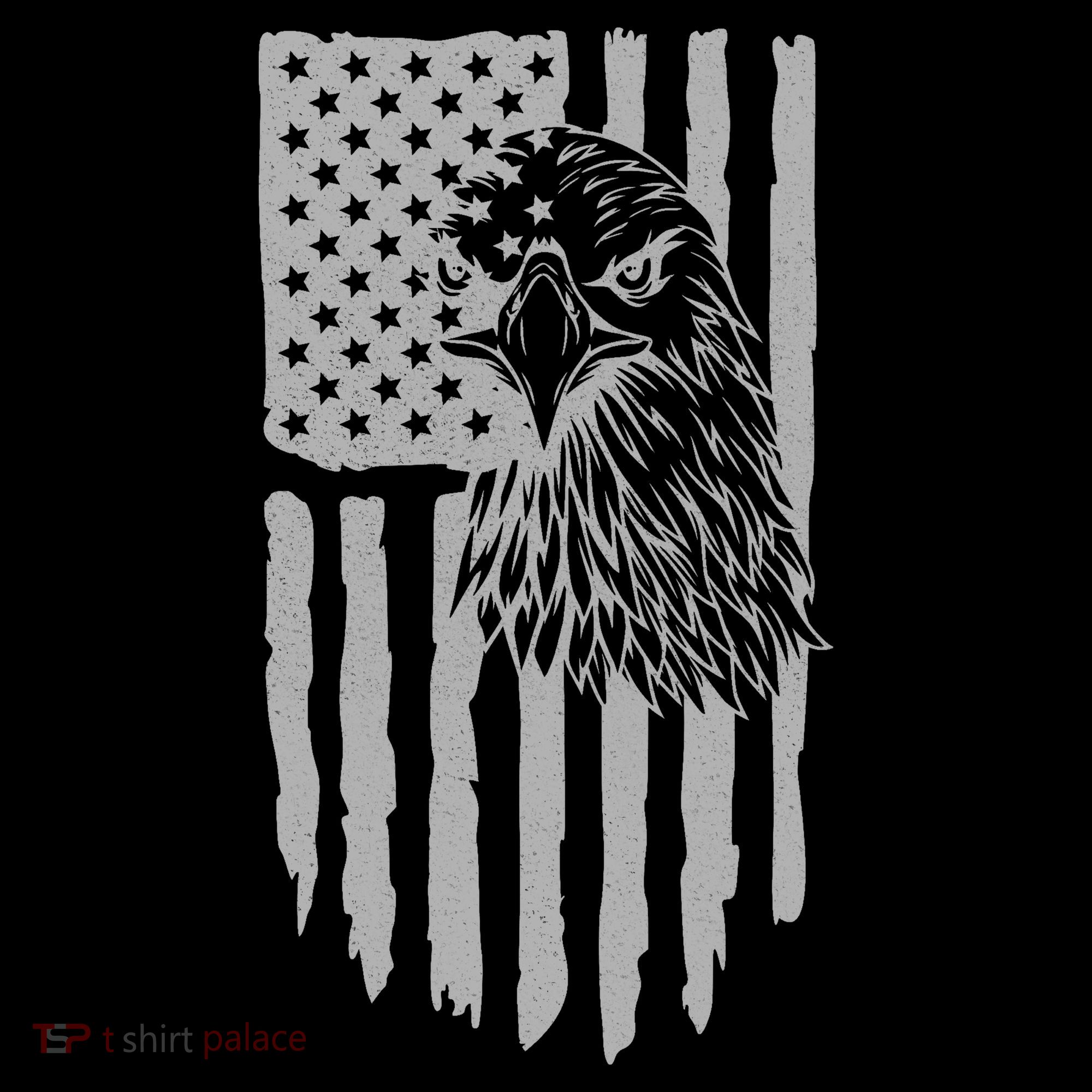 American Flag Eagle Patriot Coaster