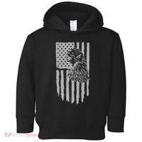 American Flag Eagle Patriot Toddler Hoodie thumb 0
