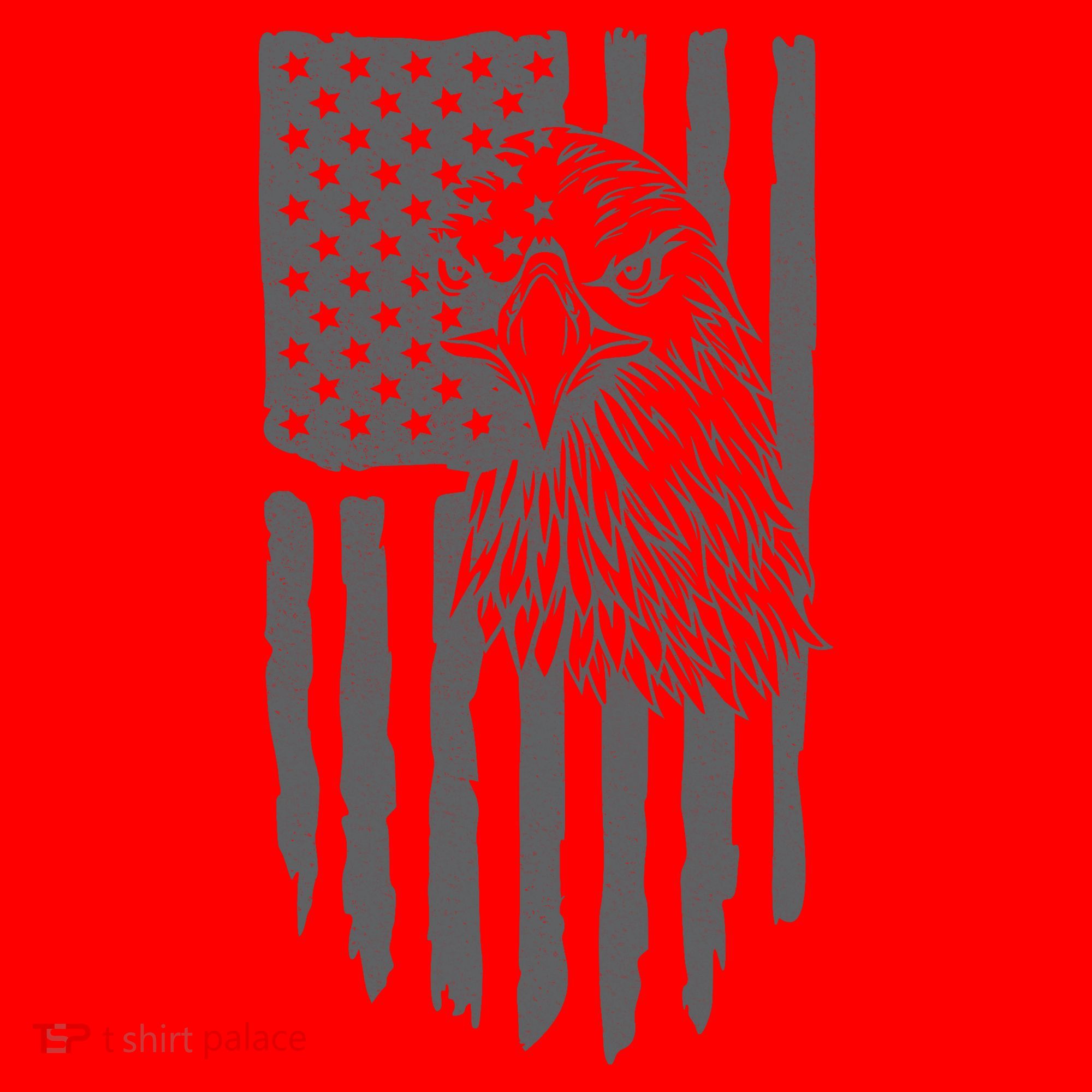 American Flag Eagle Patriot Santa Hat