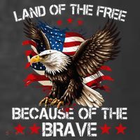 American Flag Eagle 4th Of July Land Of The Free T-Shirt thumb 5