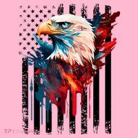 American Flag Eagle Patriots America Eagle Coaster thumb 2