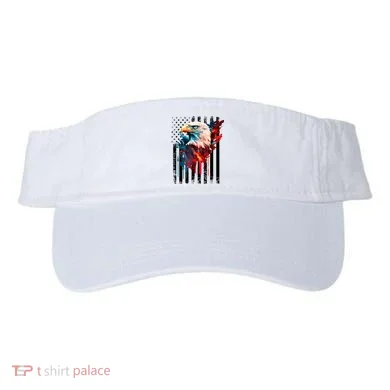 Visor