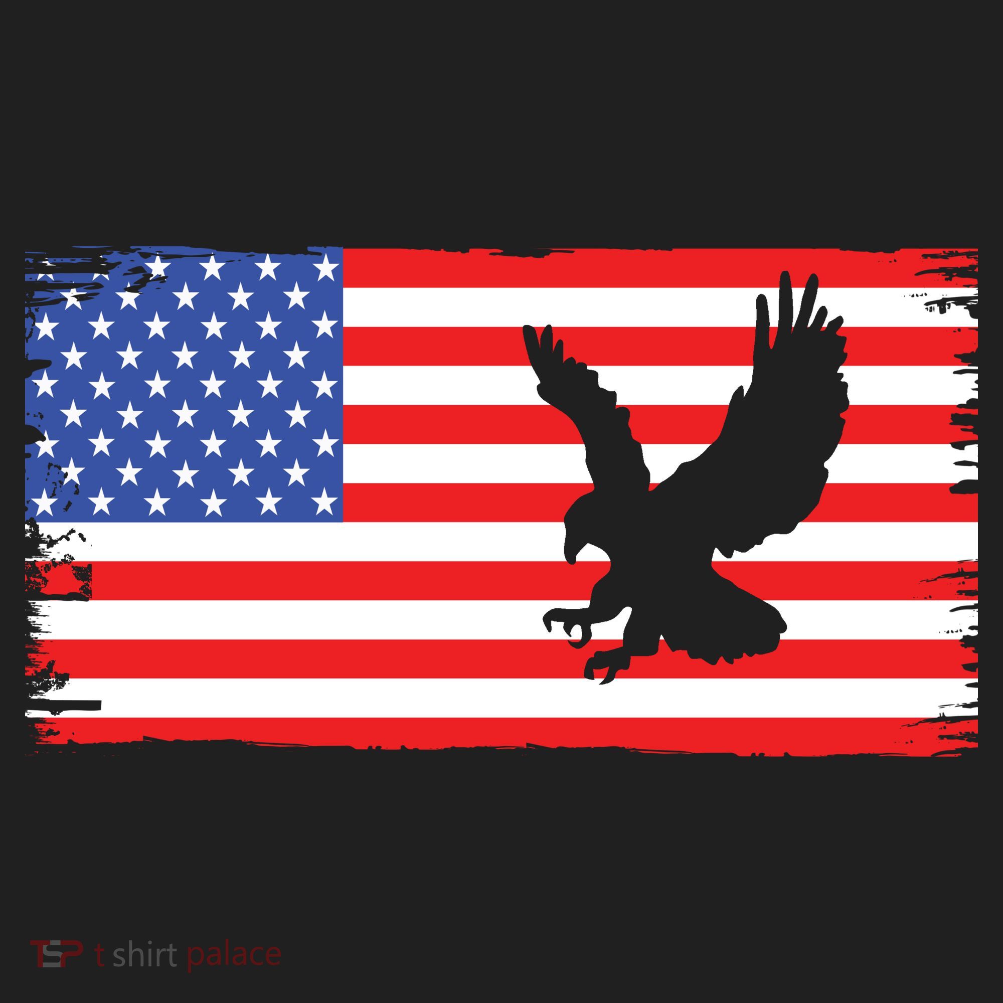 American Flag Flying Eagle Tumbler