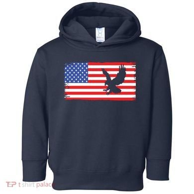 American Flag Flying Eagle Toddler Hoodie